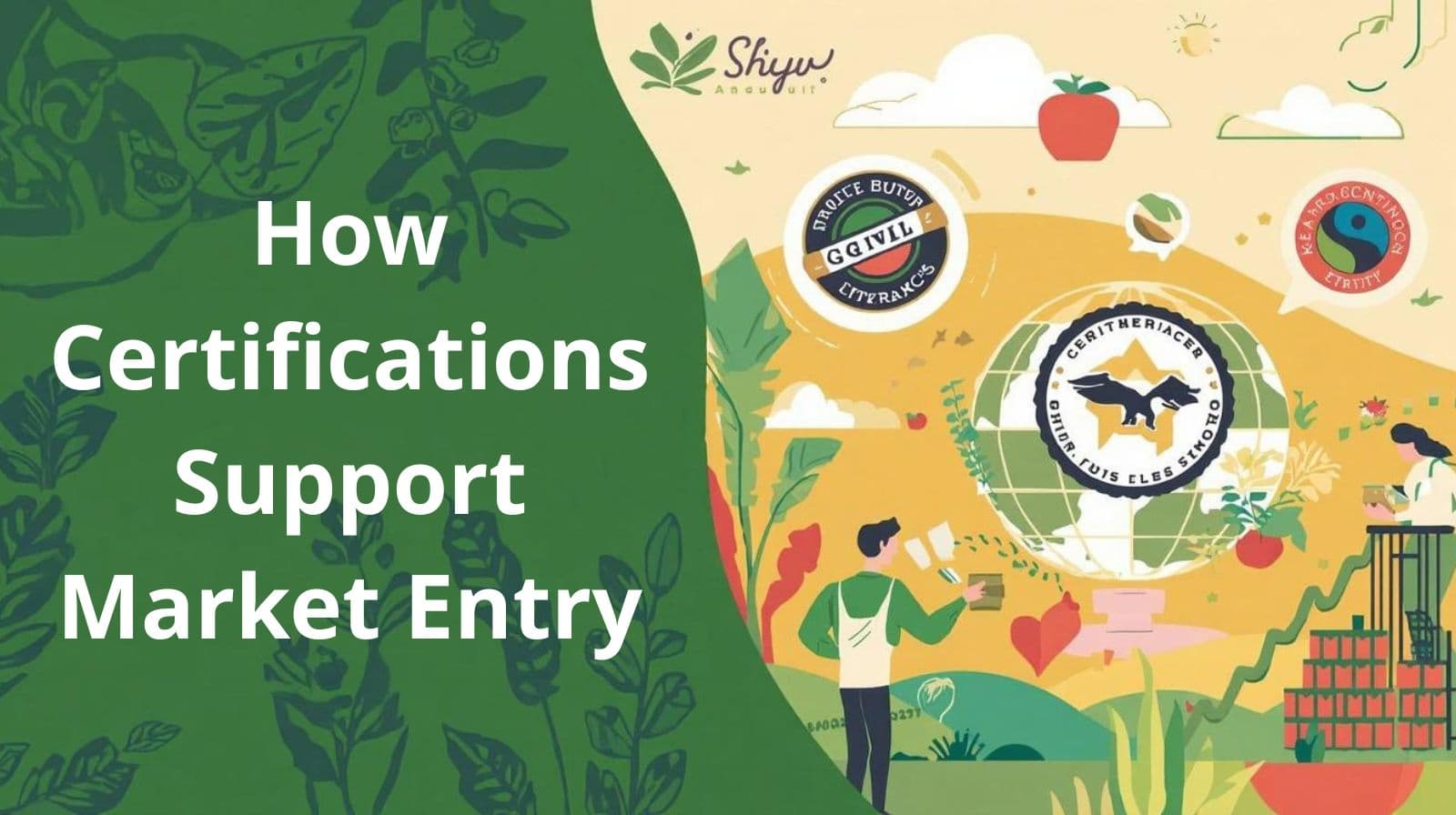 How Certifications Support Market Entry